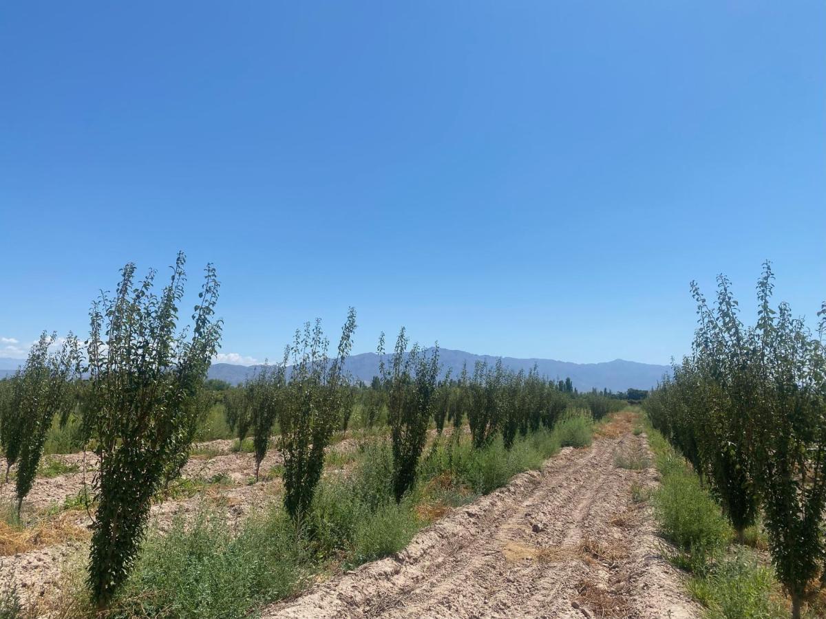 El Rincon Del Nene Villa Albardón Dış mekan fotoğraf